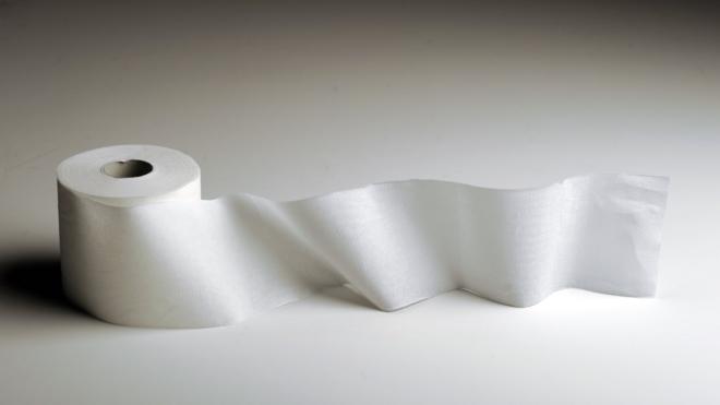 Toilet paper (file image)