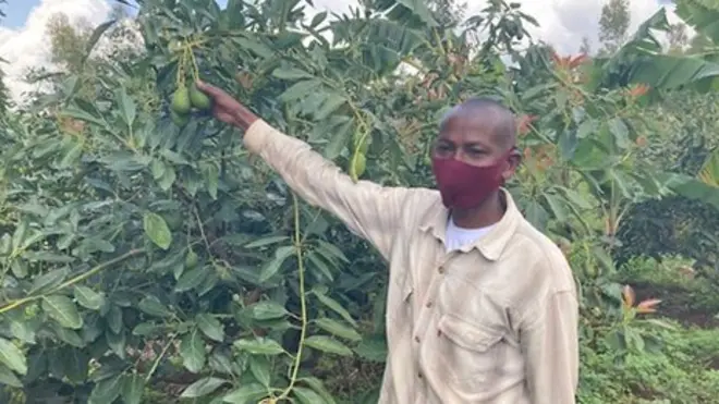 Umuhinzi afashe kuri avoka ziri ku giti