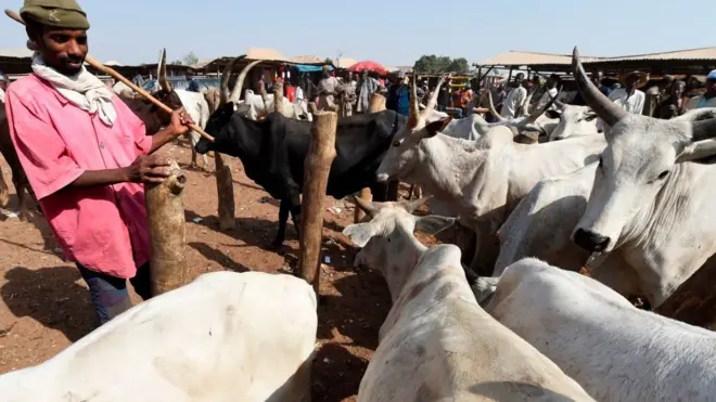 Nsogbu Fulani ọchịehi na ndị ọrụugbo atala isi mmadụ karịrị puku abụọ na otu afọ na ọkara gara aga