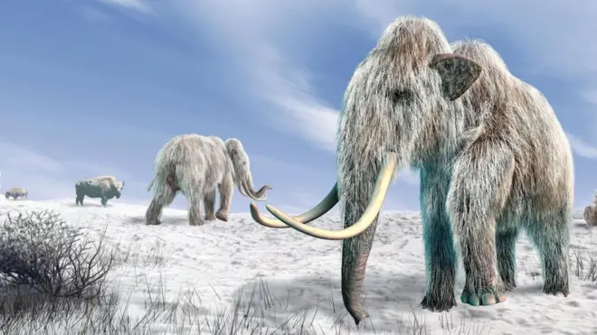 Es posible que dentro de unos años volvamos a traer al mamut lanudo en forma de un elefante híbrido.