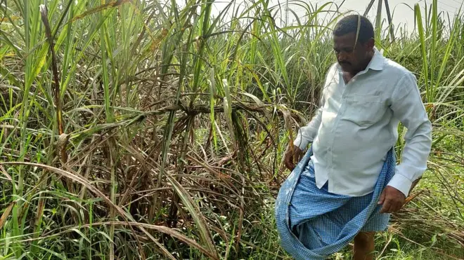 చెరకు రైతులకు కొన్ని రోజులుగా బకాయిలు అందటం లేదు.