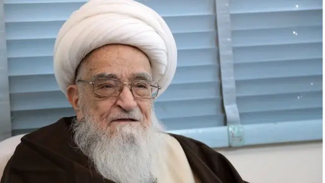 آیت‌الله لطف‌الله صافی گلپایگانی از مراجع تقلید شیعه