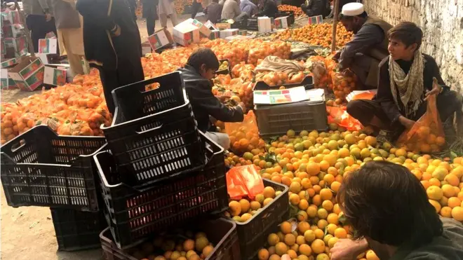 مالټه او کېله له هغو مېوو څخه دي چې تر ډېره له ګاونډیو هېوادونو افغانستان ته واردېږي.