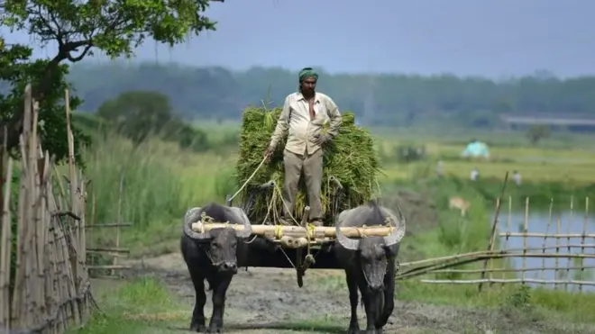 भारतीय किसान