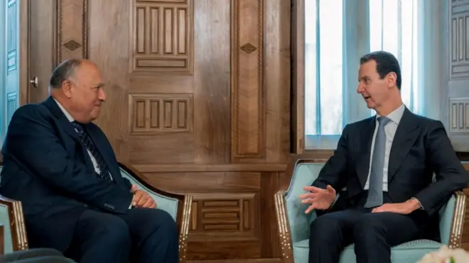 الأسد وشكري