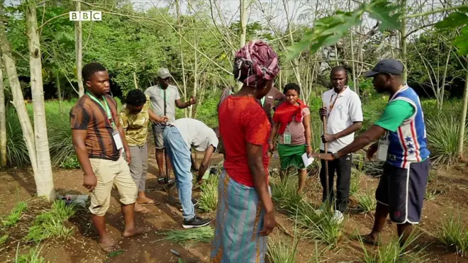 people in a field in Africa