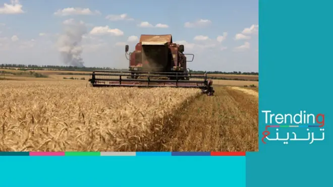 روسيا تنهي اتفاقية الحبوب.. فكيف سيتأثر خبز الفقراء؟