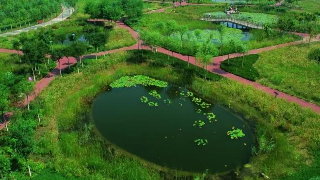 Picture of Tianjin Qiaoyuan park with wetlands