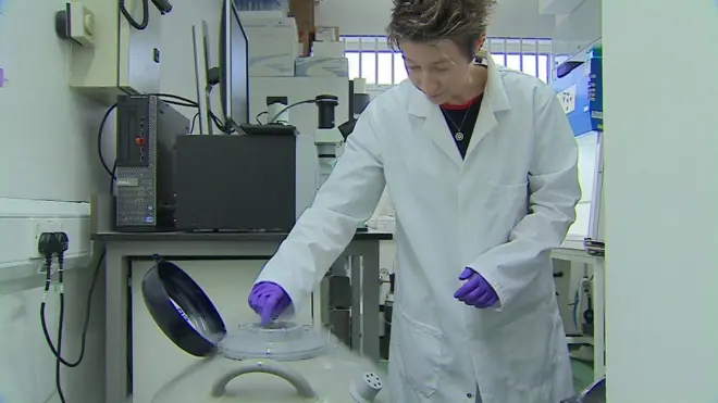 تقنيات جديدة لتحسين أساليب تجميد الخلايا البشرية لإطالة عمرها