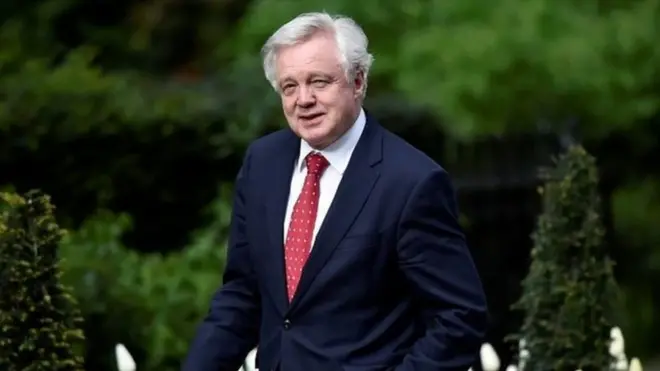 Brexit Bakanı David Davis