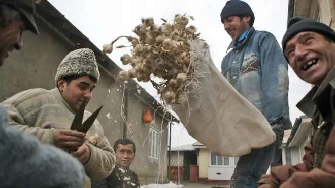 Para pedagang pasar di ibu kota Rumania, Bukares, membersihkan bawang putih sebelum menjualnya ke warga lokal.