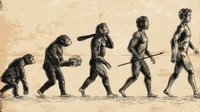 Les humains et les singes ont des ancêtres en commun