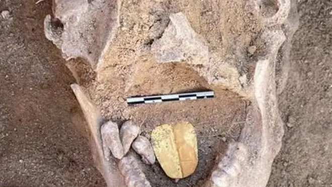 Remains of ancient Egyptian mummy with golden tongue placed inside its mouth, found at Alexandria's Taposiris Magna temple
