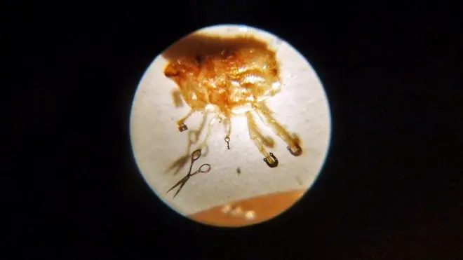 （圖片來源：Graham C99/Flickr）