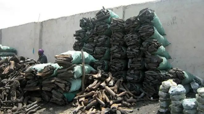 Dhuxul la dhoofinayo