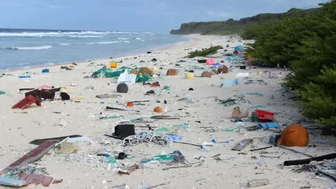 Por su apariencia, nadie diría que la isla es visitada sólo cada 5 o 10 años por científicos o navegantes aventureros.