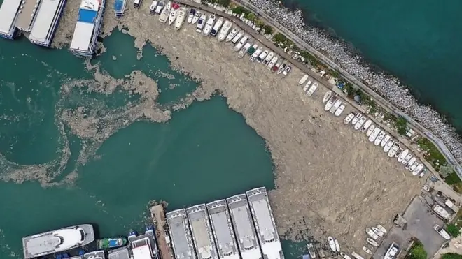 ترکی، سمندر