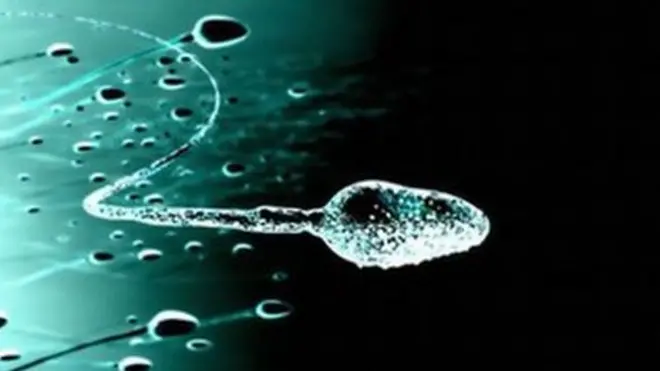 حيوانات منوية