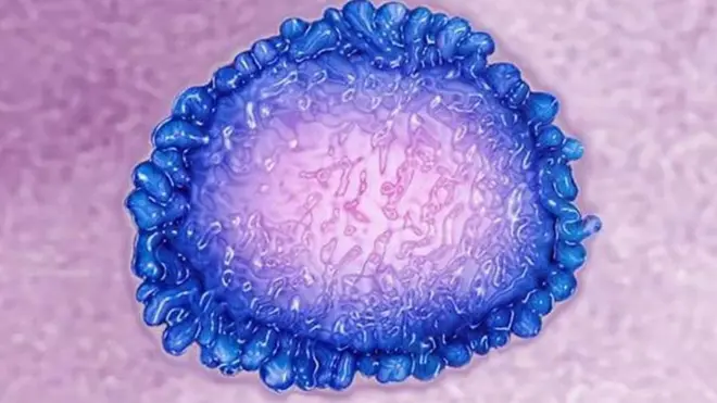 korona virus