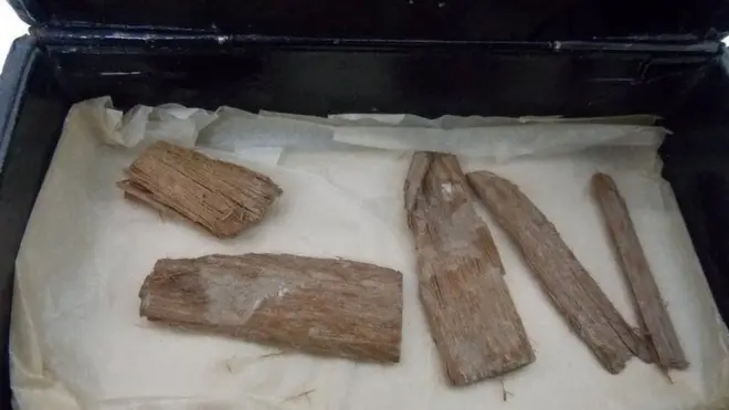 قطع خشب استخدمت في بناء الهرم الأكبر