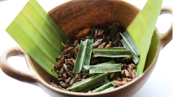 จิ้งหรีดทอด