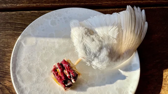 Bocado de pechuga de perdiz rojo escarlata (un ave que se encuentra en los climas montañosos del norte) ensartados con un hueso de ala de plumas blancas.