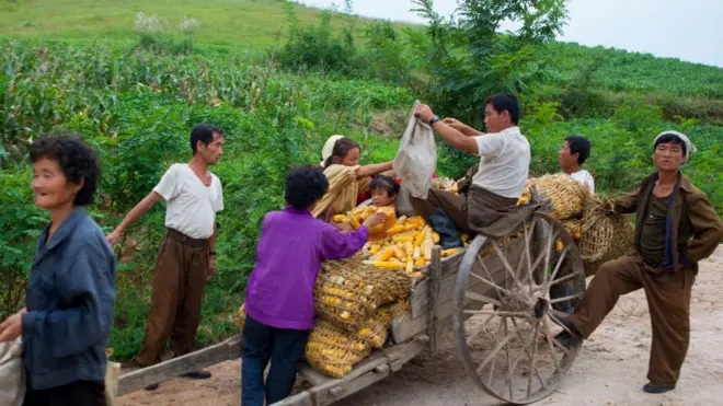 2012년 9월 북한 황해북도에서 촬영된 이 사진에서 농부들이 옥수수를 수레에 담고 있다