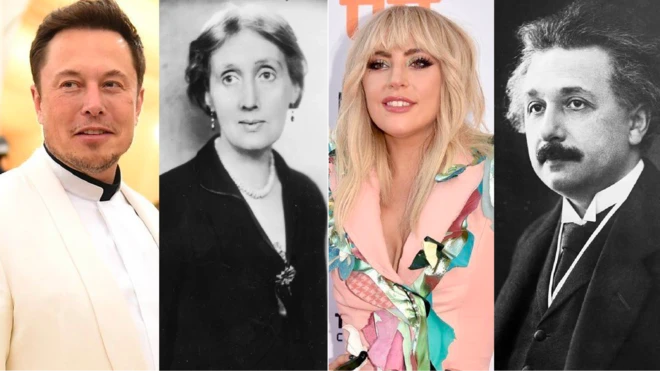 Elon Musk, Virginia Woolf, Lady Gaga et Albert Einstein sont des exemples de génies passés et présents selon Wright.