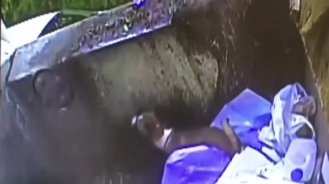 كلب داخل شاحنة نفايات في أستراليا