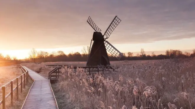 В Уікен Фен можна насолодитися ланшафдтним різноманіттям: зарості очерету, водна гладь, вологі пасовища, на яких бродять Гайлендські корови і поні породи Польський коник.