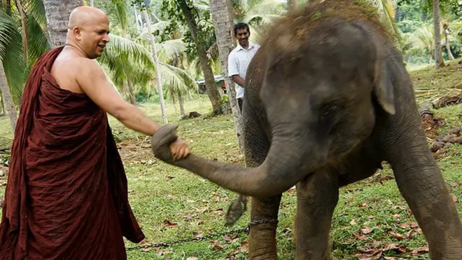 උඩුවේ ධම්මාලෝක හිමියන්