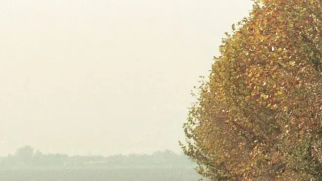 Протяженность узбекско-таджикской границы составляет 1161 километр