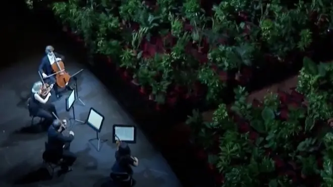 Квартет свира биљкама