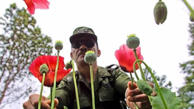 La producción de heroína mueve el escenario de violencia en México.