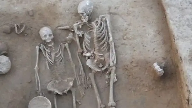 सांगाडा