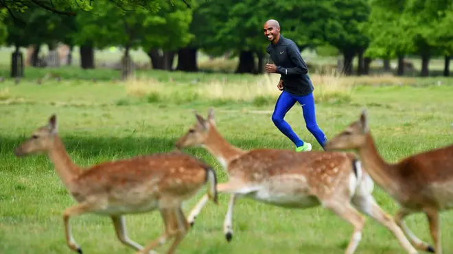 عَدّاء المسافات الطويلة الأولمبي والعالمي السير محمد فرح يؤدي تدريباته في حديقة ريتشموند في لندن