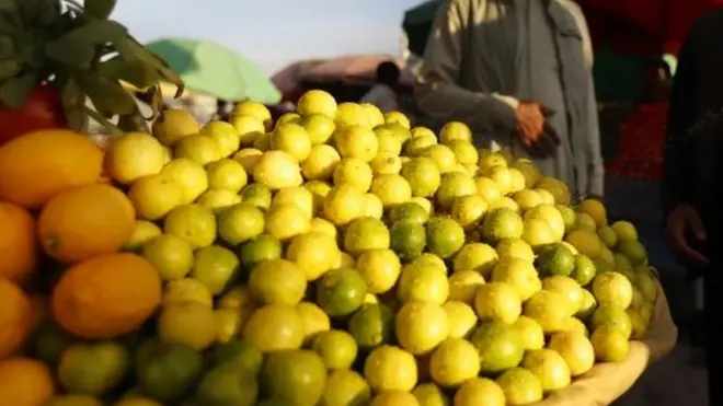 قبضے میں لیے گئے لیموں فروٹ منڈی میں نیلام کر دیے گئے ہیں