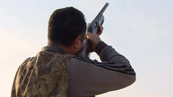 قبل نحو العام استُحدث أحد مكبات النفايات في منطقة قريبة من المطار في بيروت، ما يعتبره البعض سبب جذب أعداد متزايدة من طيور النورس إلى المنطقة، ما قد يهدد سلامة الطيران.