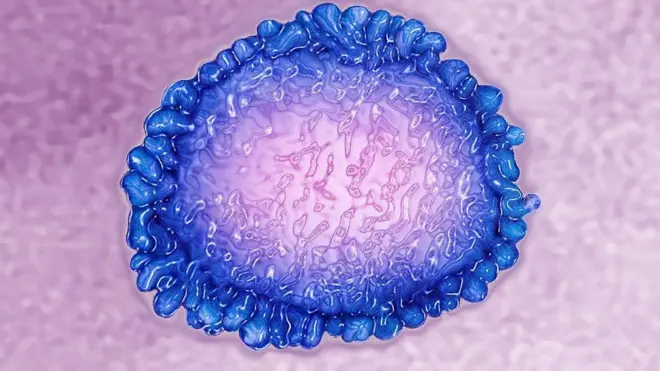 ኮሮናቫይረስ