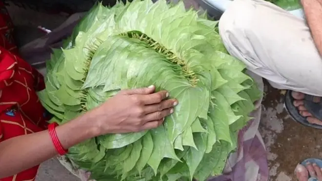 महोबा का पान