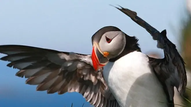 Тупик на острове Гримсей