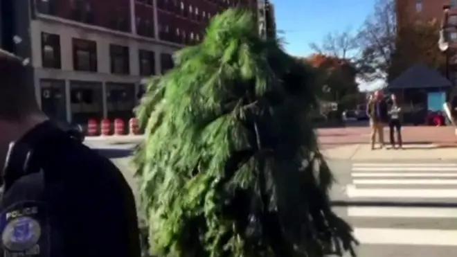 Перфоманс в штате Мэн