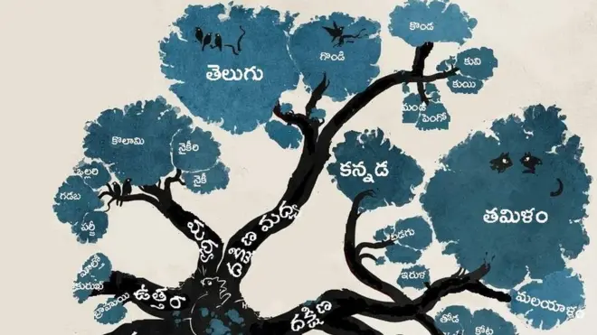 ద్రవిడ భాషలు