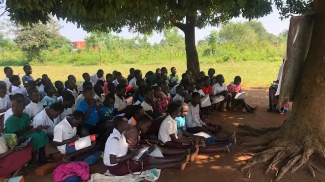 Wanafunzi katika shule ya msingi ya Bukedea, karibu na mji wa Mbale, mashariki mwa Uganda, wakiendelea na masomo chini ya mti