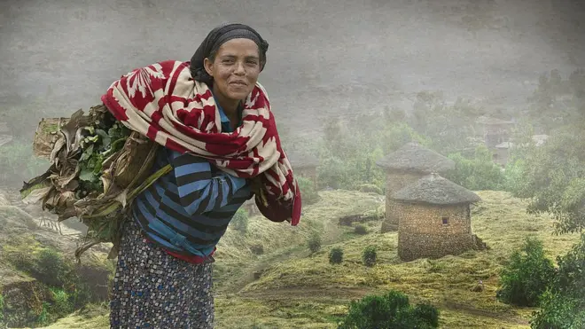 ጎመን ወደ ገበያ እዛ የምትሄድ ሴት