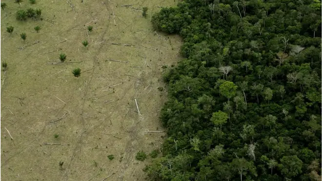 Amazon land for sale thumb