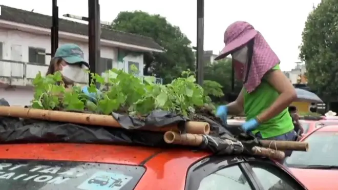 టాక్సీలపై కూరగాయలు