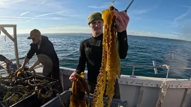 पर्यावरण