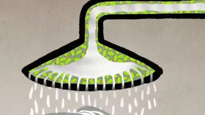 Tuševi su stanište mikroba