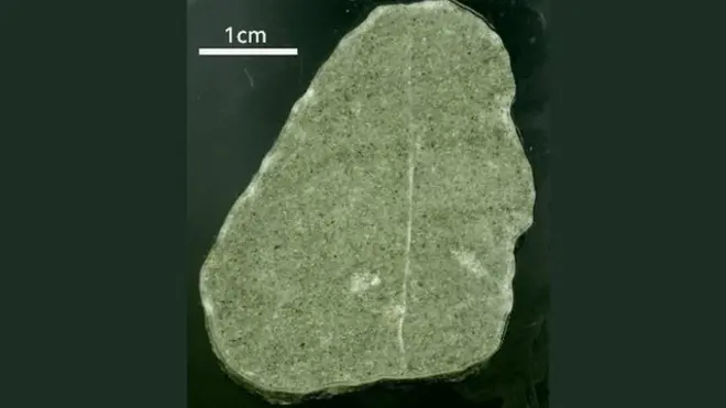 Batu kecil berwarna kehijauan mengungkap dampak terburuk yang dapat terjadi akibat pemanasan global.